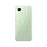 Original Back Panel For Realme C30 - Bamboo Gray